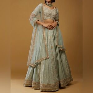 Powder Green Lehenga Choli In Silk With Brocade And Lucknowi Kali Design